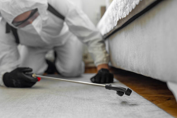 Professional Bed Bug Control technician working in Pine Level, NC